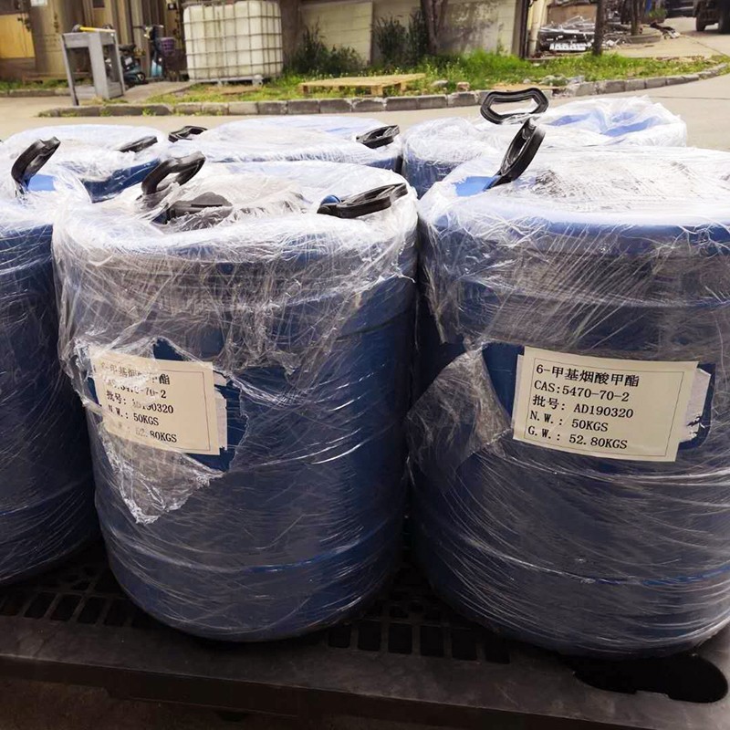 6-甲基烟酸甲酯现货48公斤便宜出含量99%以上吡啶衍生物，医药中间体 厂家直销