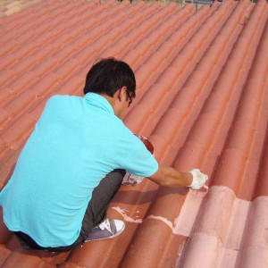 有机硅防水涂料双赢防水厂家