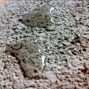 水泥基渗透结晶性防水涂料双赢防水厂家