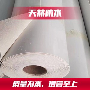 热塑性聚烯烃TPO防水卷材 潍坊热塑性聚烯烃TPO防水卷材厂家