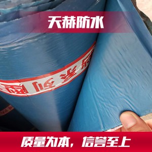 反应型强力自粘防水卷材 高分子自粘系列防水卷材 潍坊高分子自粘系列防水卷材厂家
