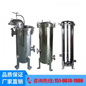 厂家销售不锈钢大流量芯式过滤器 不锈钢保安精密过滤器