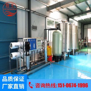 反渗透纯净水设备 20吨过滤软化地下水处理设备 胜王水处理