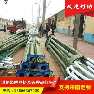 太阳能LED路灯杆生产厂家 6/8/7/10米单臂路灯灯杆 户外高杆灯 道路路灯杆