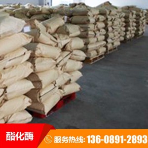 催化作用酯化酶 酯化酶增香技术 用于新工艺白酒酯化酶