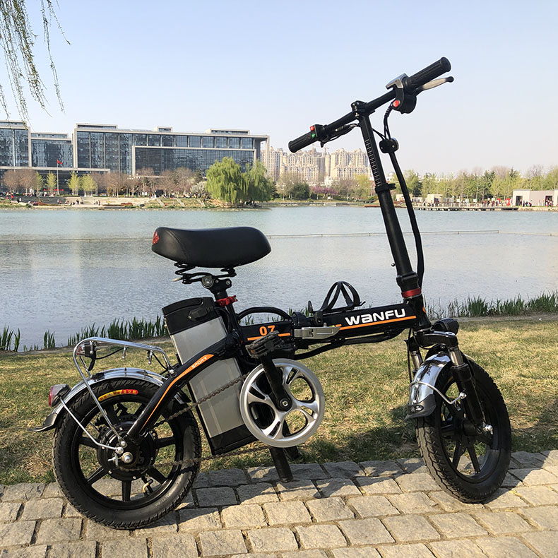 2021新款國標小型電動車鋰電池代步車 成人便攜小型電動車 廠家可加工定制