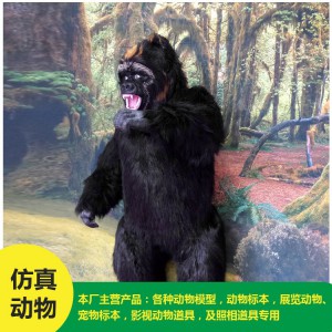 仿真动物 猩猩 批发 价格低廉