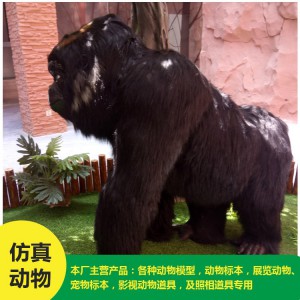 仿真动物 猩猩 批发 价格低廉