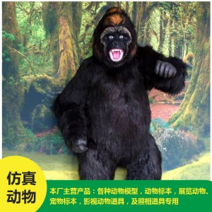 仿真动物 猩猩 批发 价格低廉