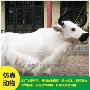 价格低廉 住址牦牛模型 批发