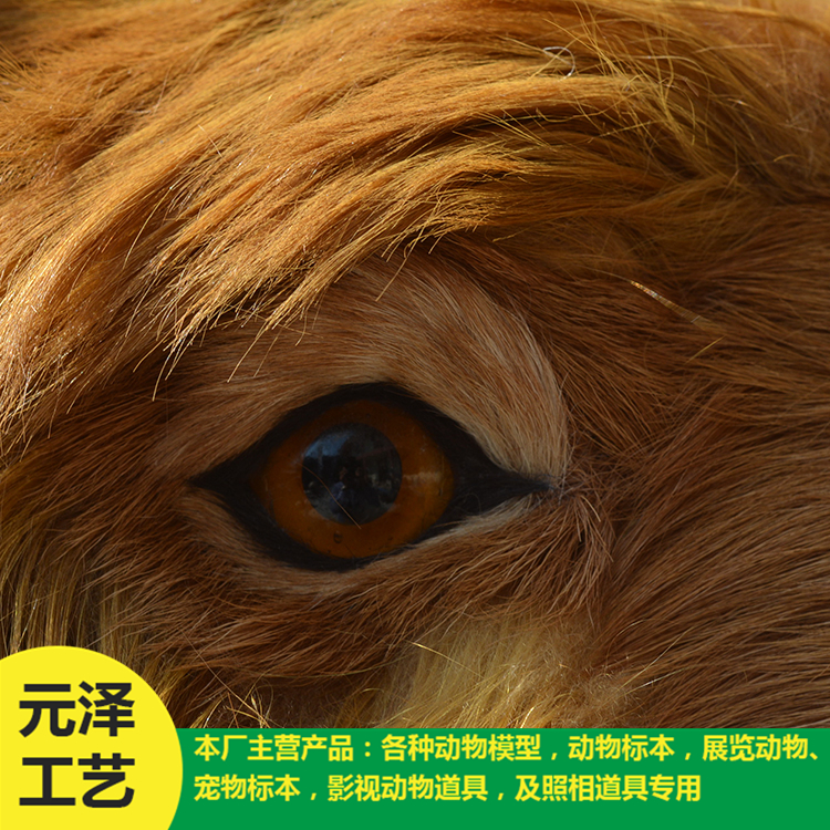 高仿真骆驼销售 造型逼真骆驼 元泽皮毛