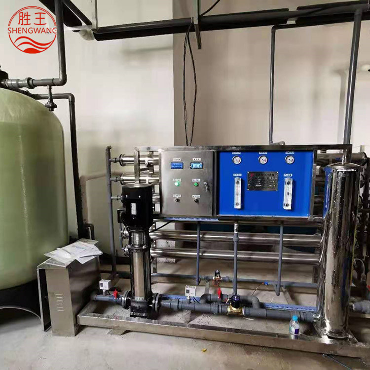 山東勝王3T/H反滲透設備 雙級 廠家直銷 規格可定制