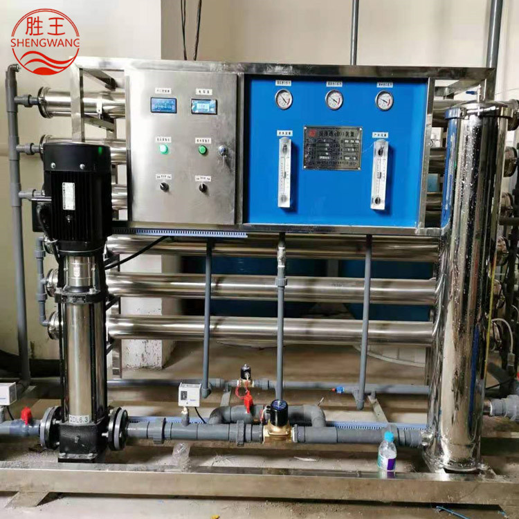山東勝王3T/H反滲透設備 雙級 廠家直銷 規格可定制