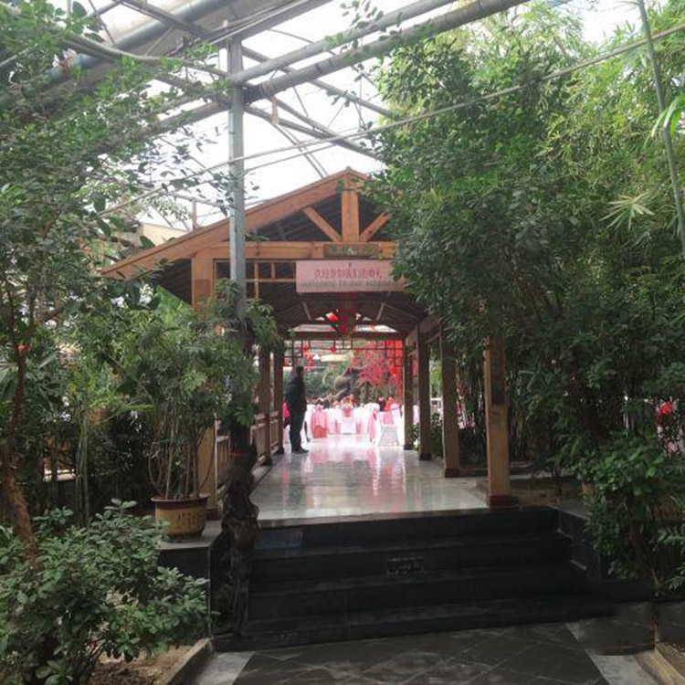 陽(yáng)光休閑餐廳溫室 玻璃智能溫室大棚 專業(yè)溫室制作廠家