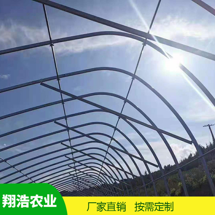 河北育苗單體拱棚 蔬菜薄膜拱形溫室 簡易單體拱棚溫室大棚定制