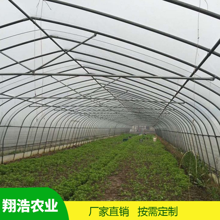 河北育苗單體拱棚 蔬菜薄膜拱形溫室 簡易單體拱棚溫室大棚定制
