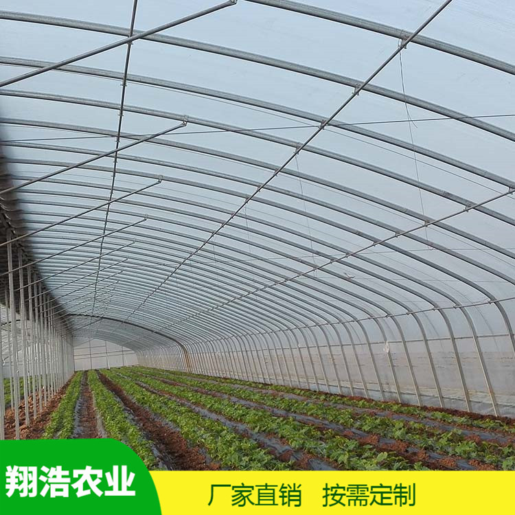 河北育苗單體拱棚 蔬菜薄膜拱形溫室 簡易單體拱棚溫室大棚定制