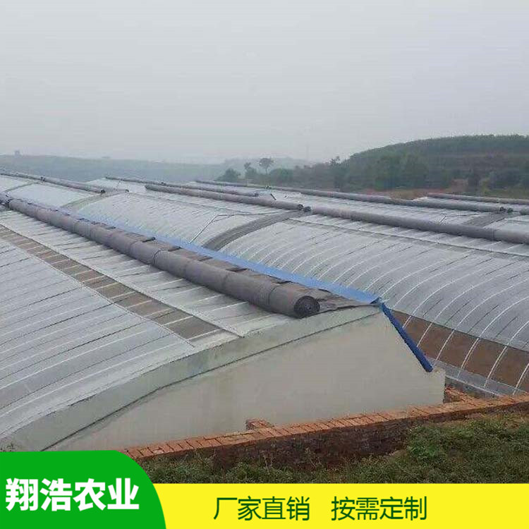 河北育苗單體拱棚 蔬菜薄膜拱形溫室 簡易單體拱棚溫室大棚定制