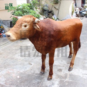 国钦皮毛动物工艺品加工定制仿真黄牛模型 可来图设计制作各种大型动物模型