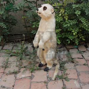 仿真猫鼬模型 仿真皮毛动物制作公司