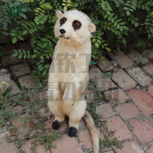 仿真猫鼬模型 仿真皮毛动物制作公司