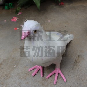 加工定制各种仿真鸟类 仿真鸽子模型标本