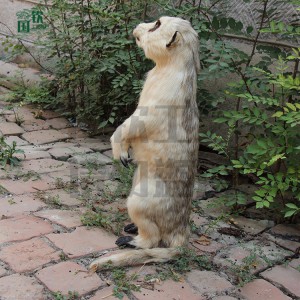 仿真猫鼬模型 仿真皮毛动物制作公司