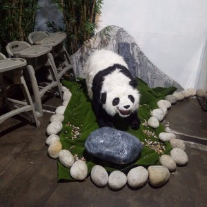 影视道具用标本 仿真熊猫模型加工定制