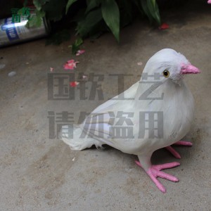 动物模型标本 仿真鸽子设计制作