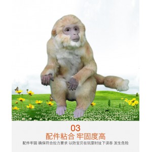 動物仿真模型 創新動物 回歸自然動物
